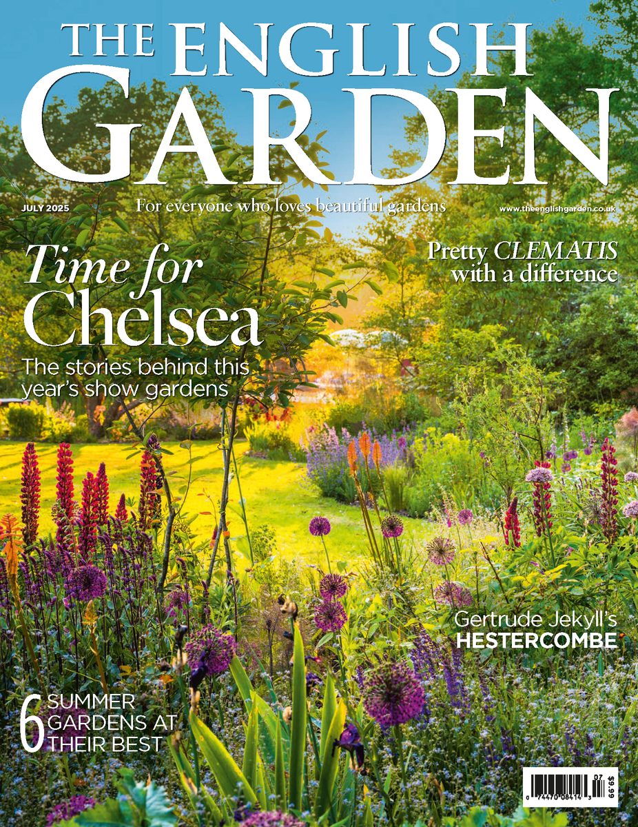 (未使用･未開封品)Great Gardens of England Collection [DVD] The English Garden Single Issues – The Britain Shop