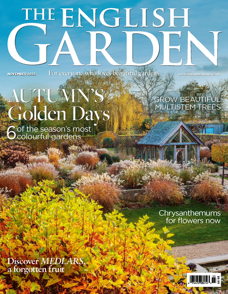 The English Garden Single Issues – The Britain Shop