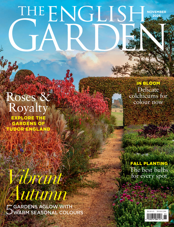 The English Garden Single Issues