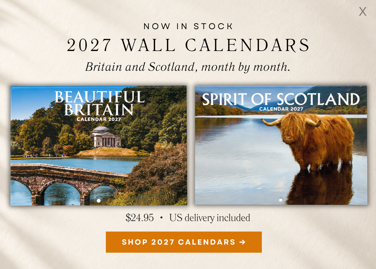 Calendar Offer