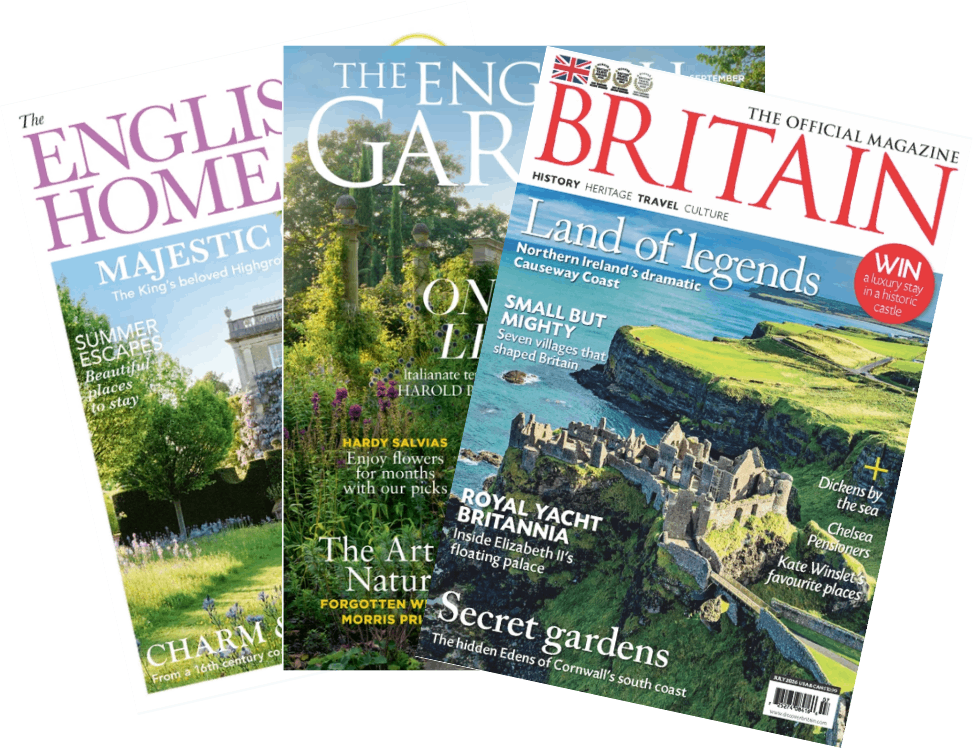 Magazine Subscriptions Background